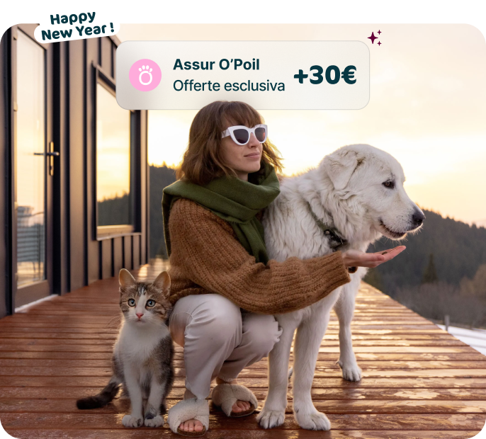 Una donna che gioca con il suo gatto assicurato ad Assur O'Poil