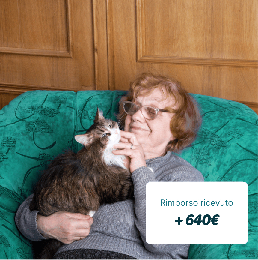 Una nonna che accarezza il suo gatto Assicurata da Assur O'Poil e soddisfatta del suo rimborso