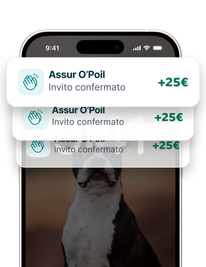 Application mobile Assur O'Poil