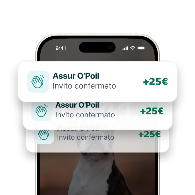 Application mobile Assur O'Poil