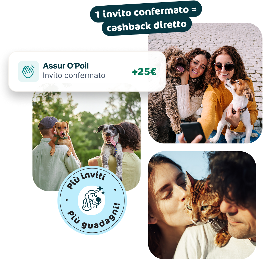 Offerta di referral Assur'O Poil